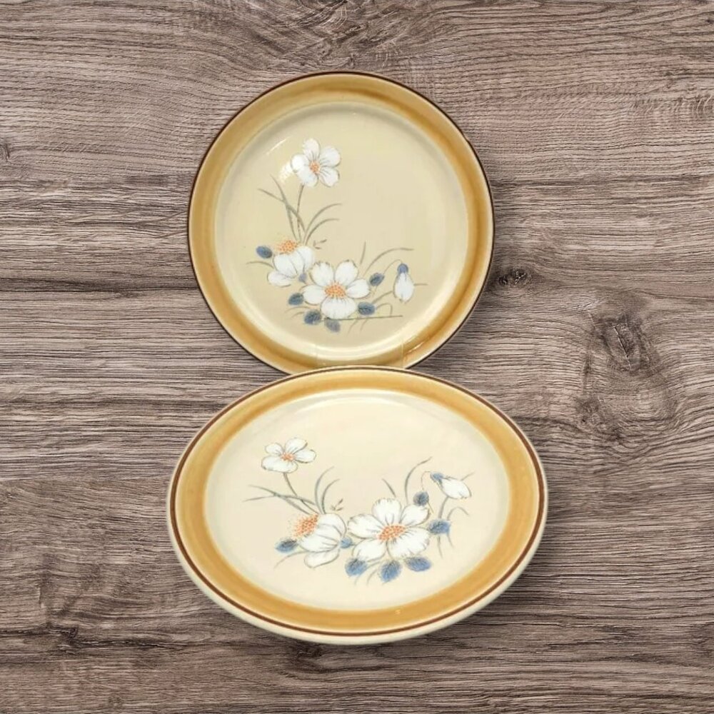 Vintage Water Colors Hearthside Dawn Chop Dinner Plate Japan Set of 2